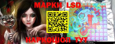 стаф Обнинск